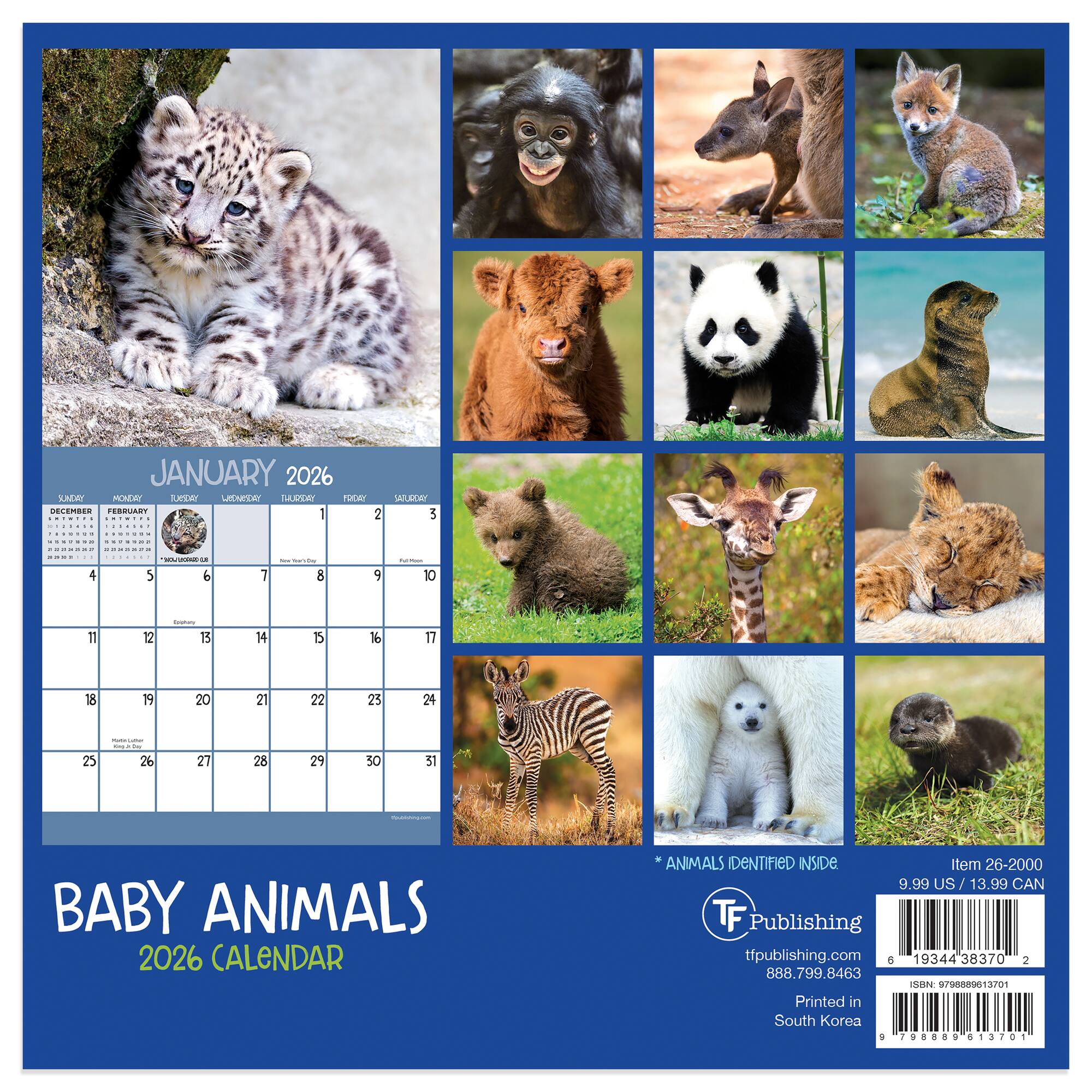 2026 Baby Animals Mini Calendar